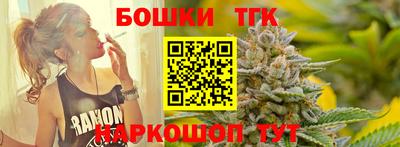 СК Кингисепп