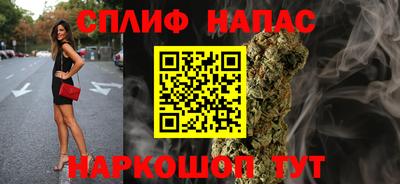 СК Кингисепп