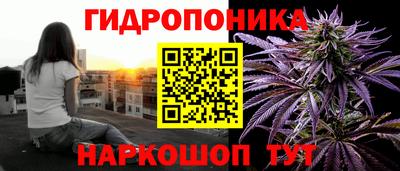 гидра Кимры