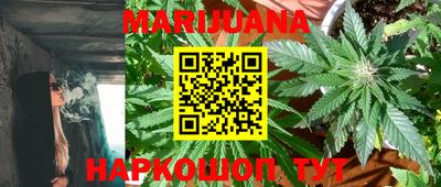 гидра Кимры