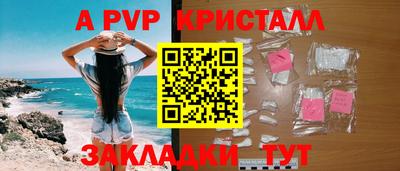СК Кингисепп