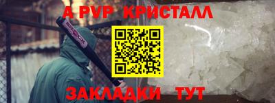 СК Кингисепп