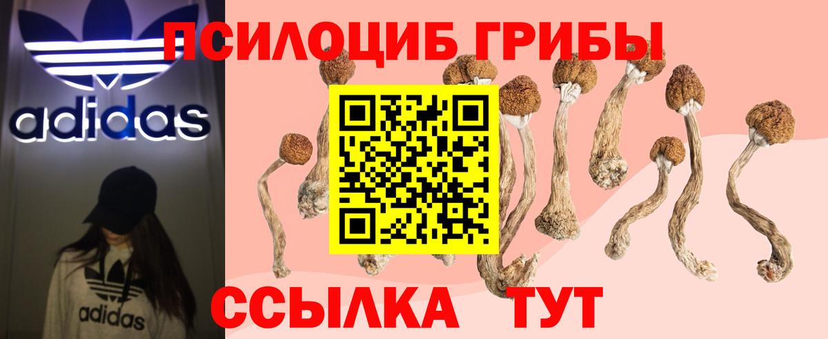 Псилоцибиновые грибы MAGIC MUSHROOMS  Галлюциногенные грибы Cubensis  Курчатов  Вход с VPN 